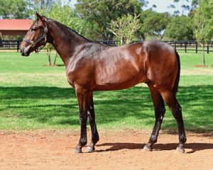 Lot 372 – Fly Like An Eagle − Money Time Milly
