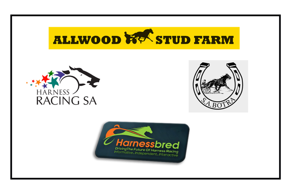 Allwood Stud 2018 SA Yearing Sale